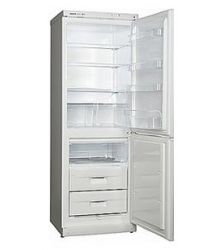 Холодильник Snaige RF310-1103A